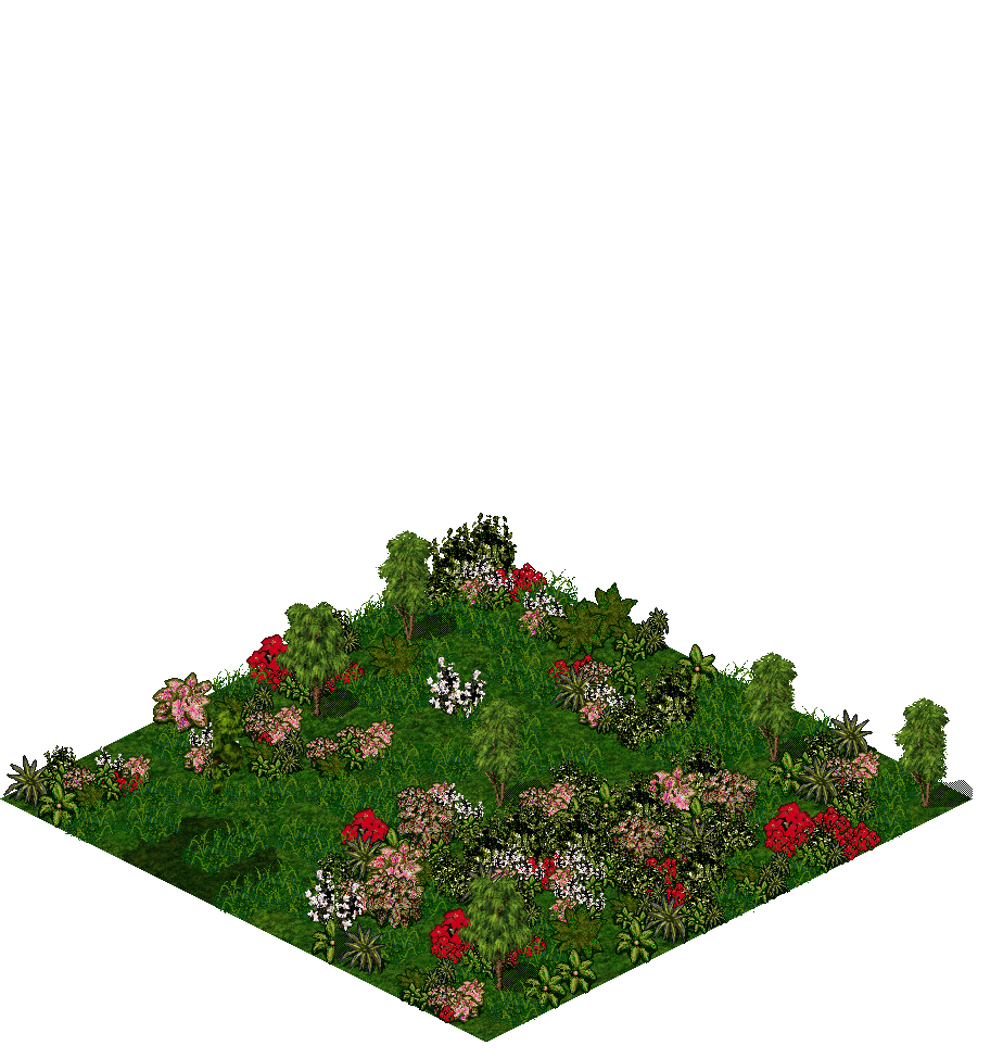 Map 3002 rendered terrain map