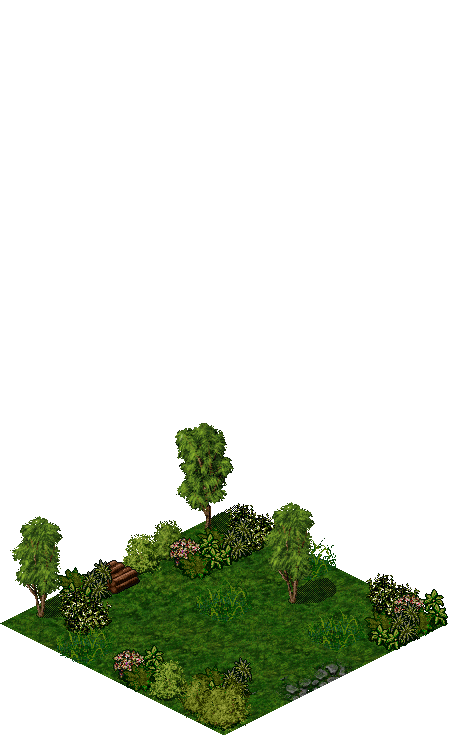 Map 5216 rendered terrain map