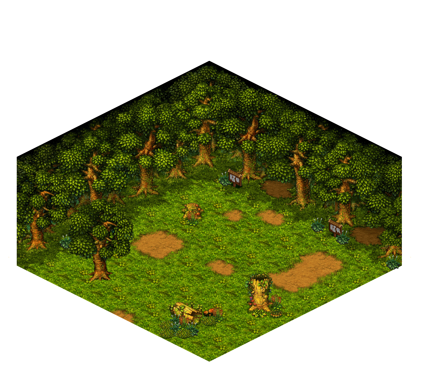 Shinewood Forest Entranc rendered terrain map