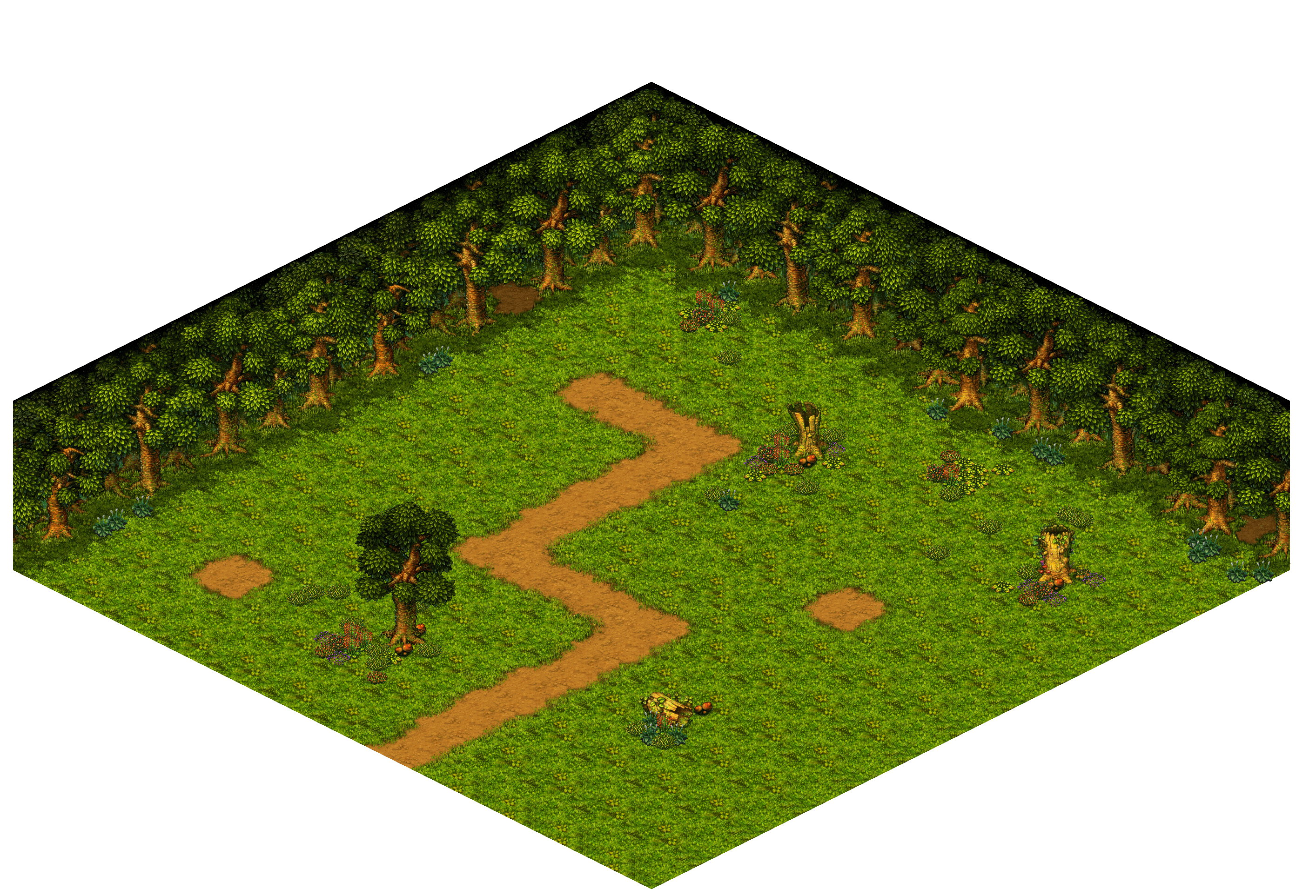 Shinewood Forest 10 rendered terrain map