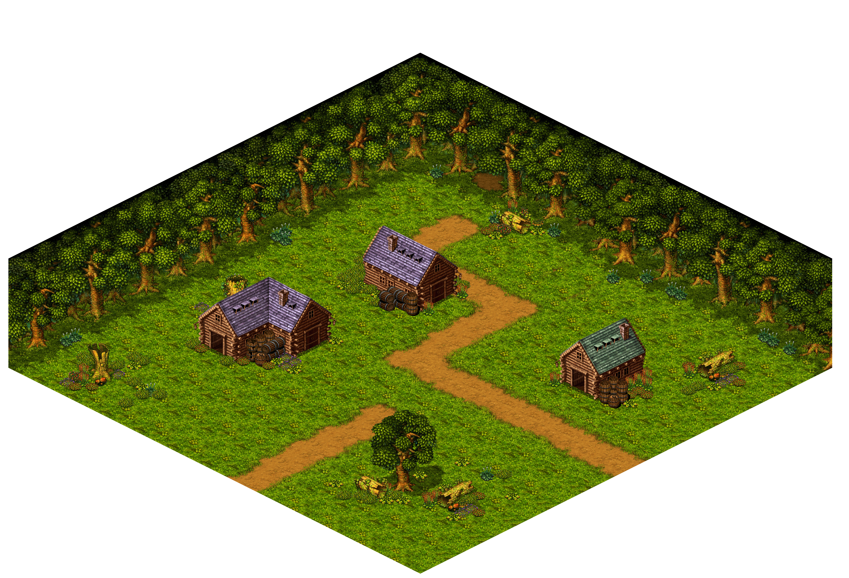 Shinewood Forest 12 rendered terrain map