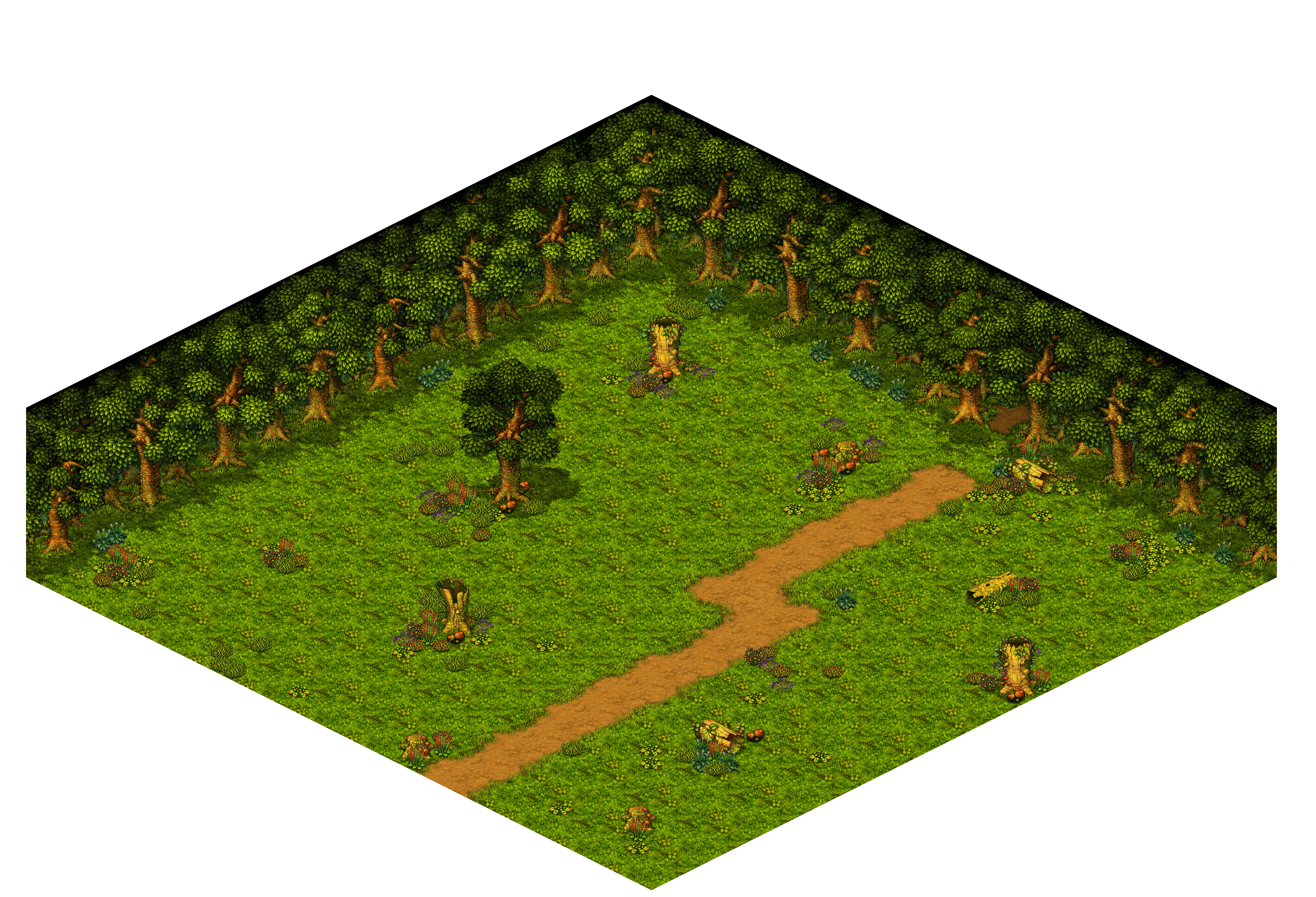 Shinewood Forest 21 rendered terrain map