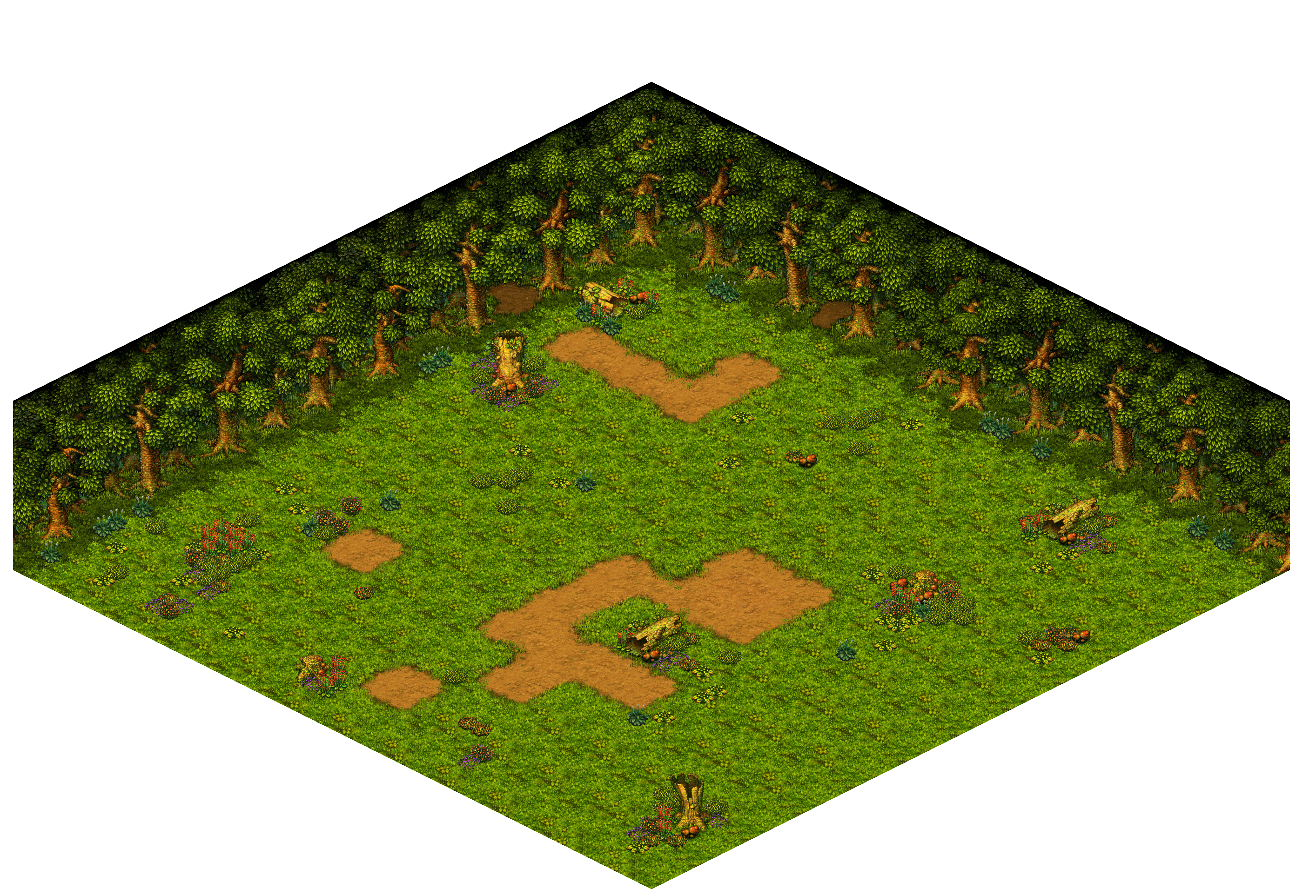 Shinewood Forest 29 rendered terrain map