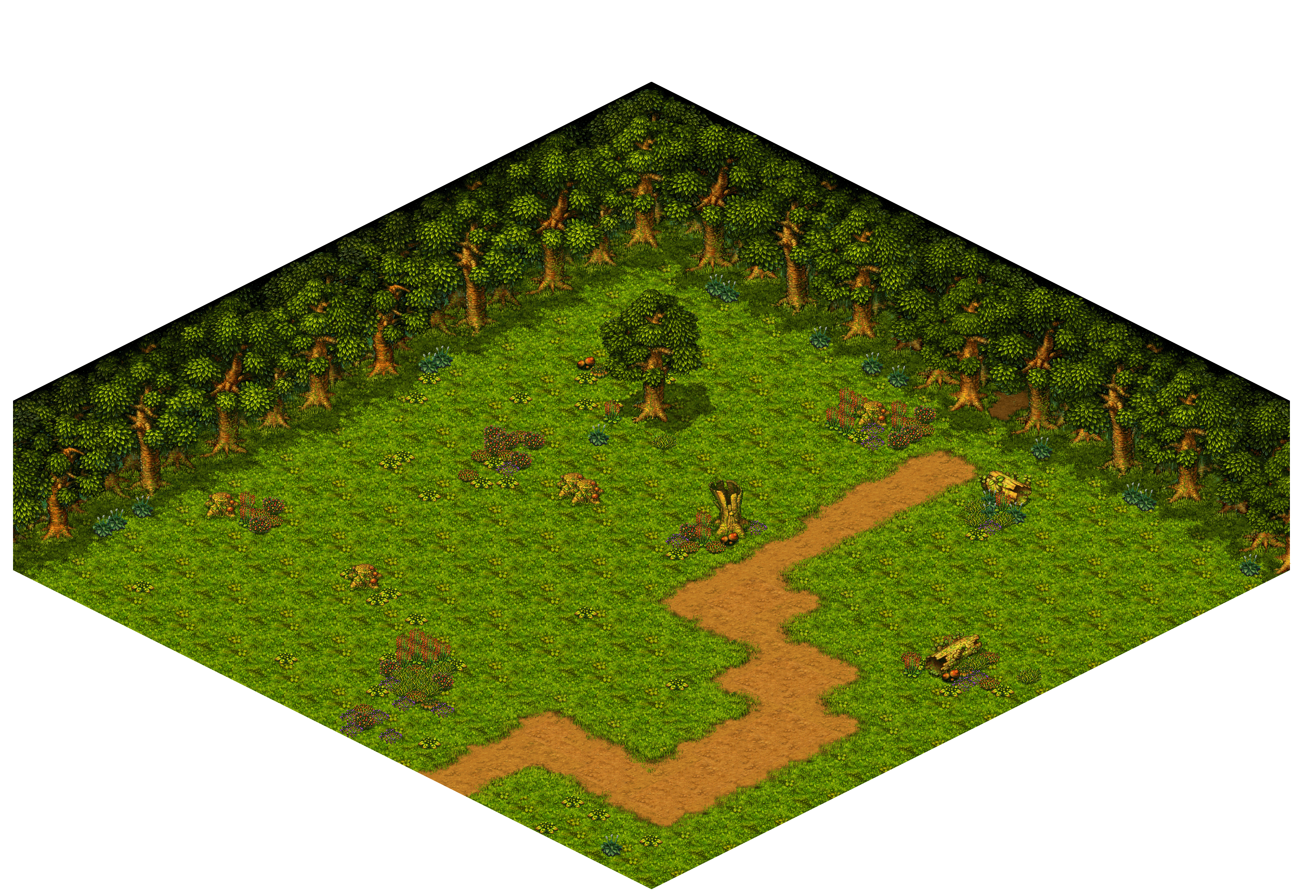 Shinewood Forest 23 rendered terrain map