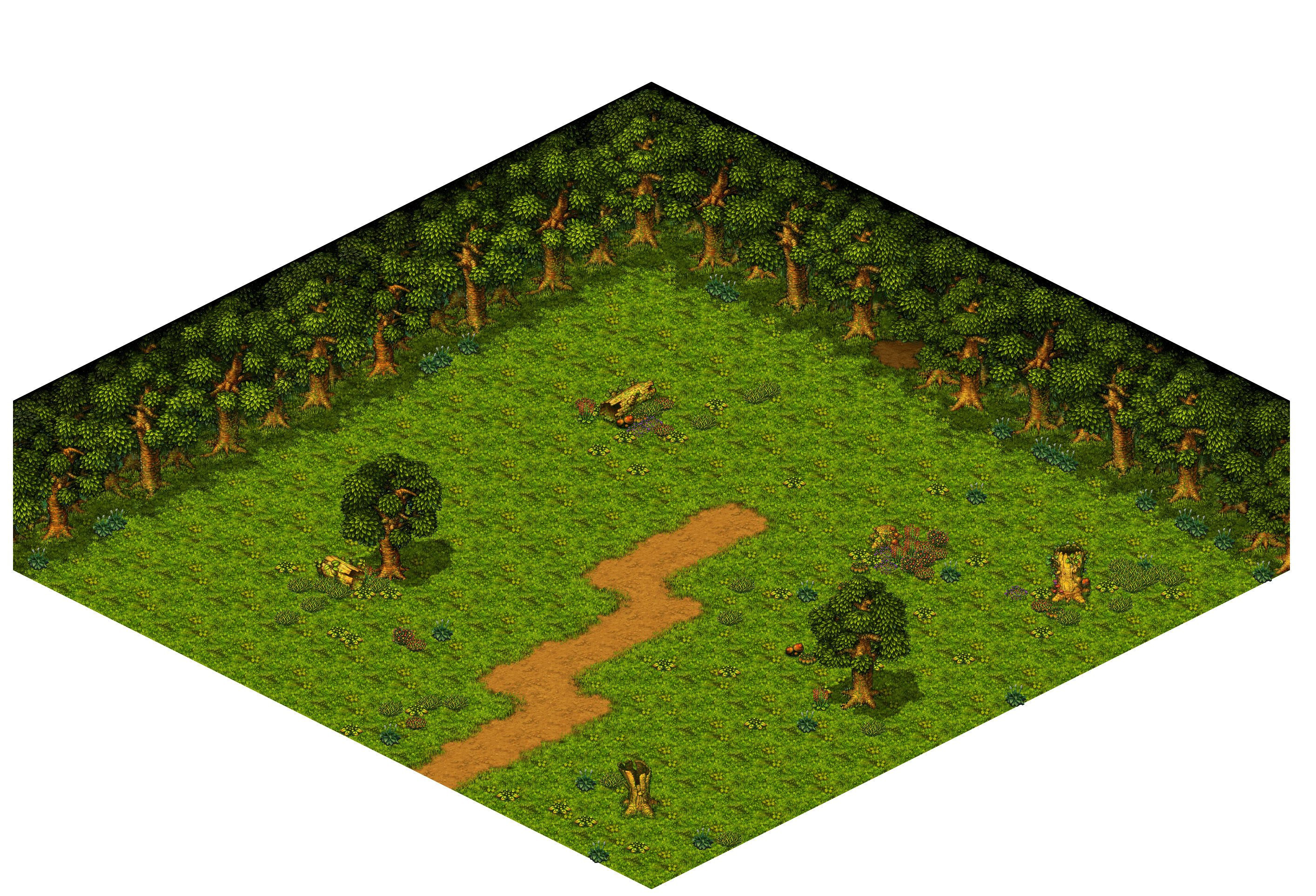 Shinewood Forest 25 rendered terrain map