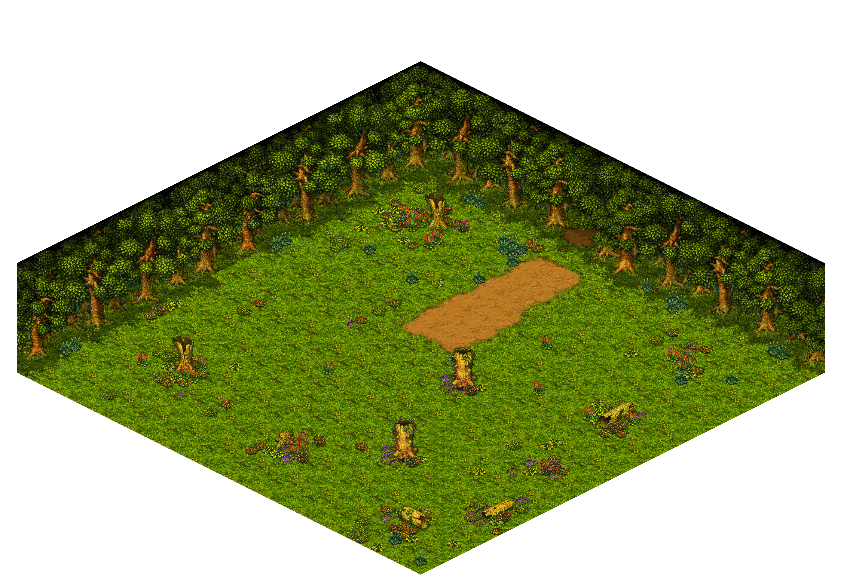 Shinewood Forest 38 rendered terrain map