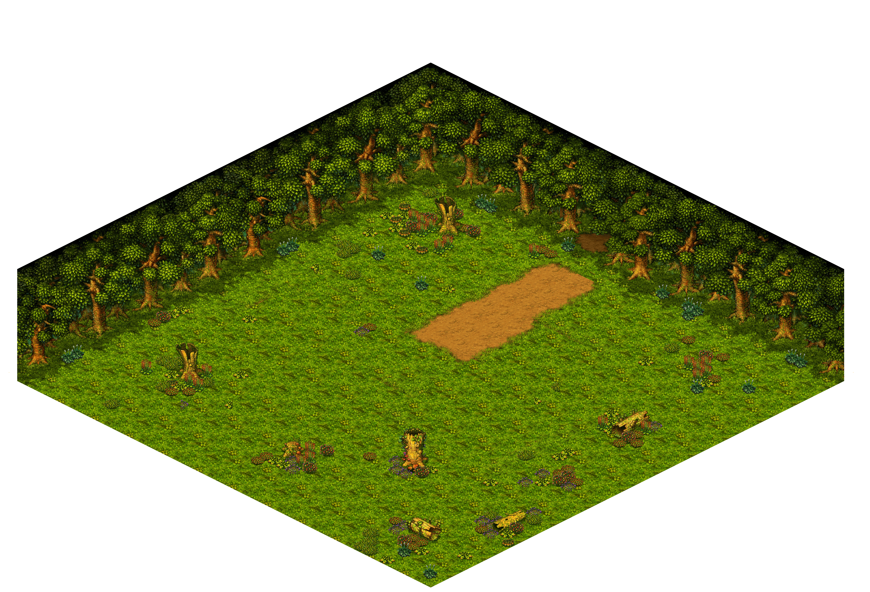 Shinewood Forest 8 rendered terrain map